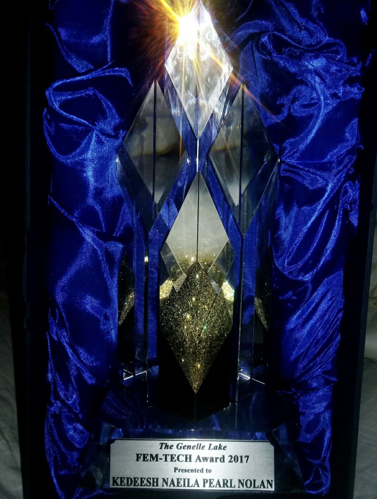 Genelle Lake FEM-TECH Award presented to Kedeesh Nolan in 2017